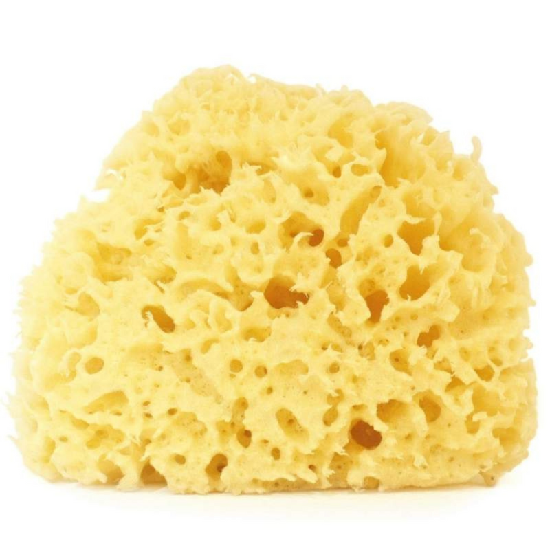 Anewmum – Natural Honeycomb Sea Sponge