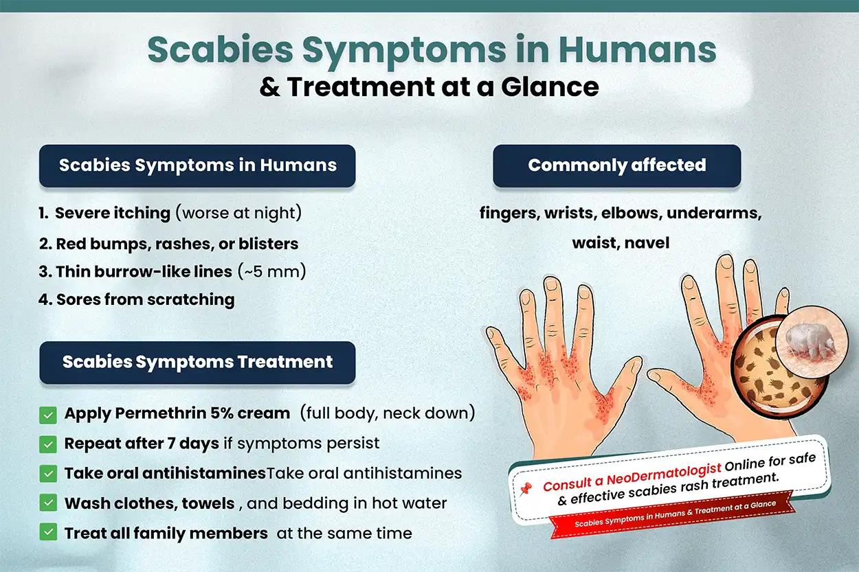 Understanding Scabies: Symptoms, Treatment, and Prevention