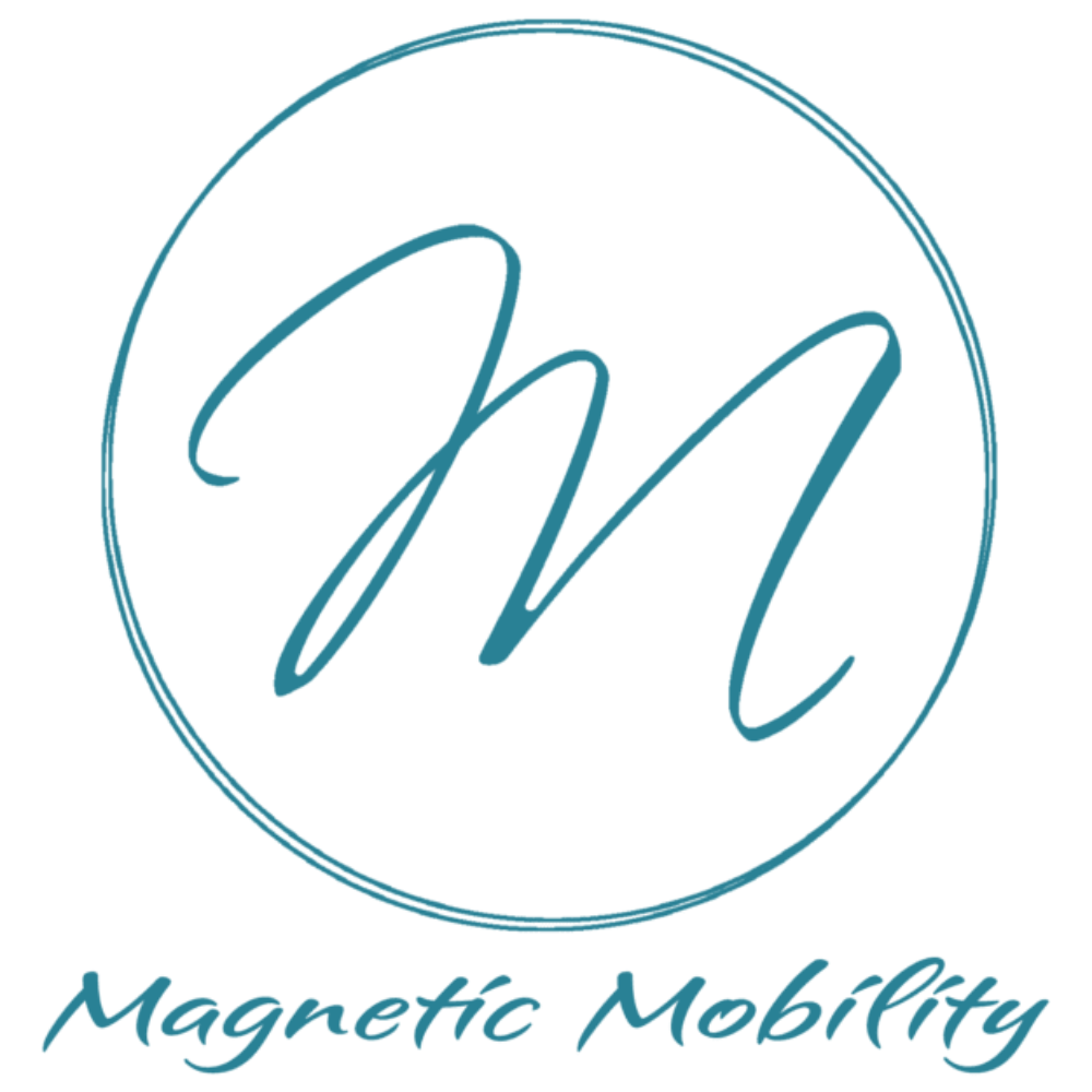 Magnetic Mobility