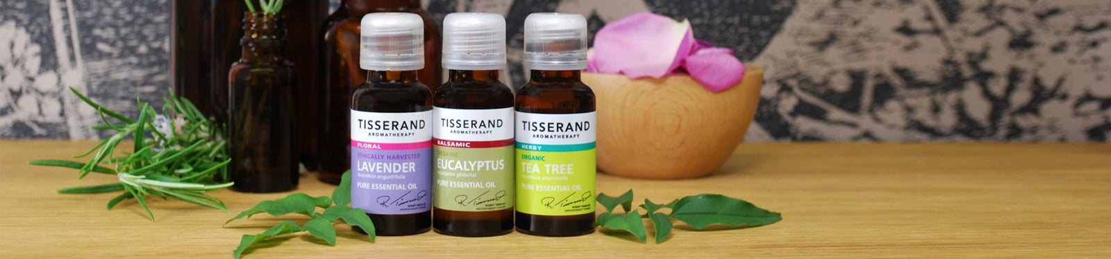 Essential Oils - Eucalyptus, Tea Tree, Lavender