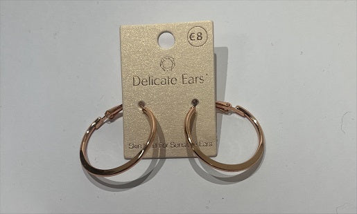 Delicate Ears Earrings