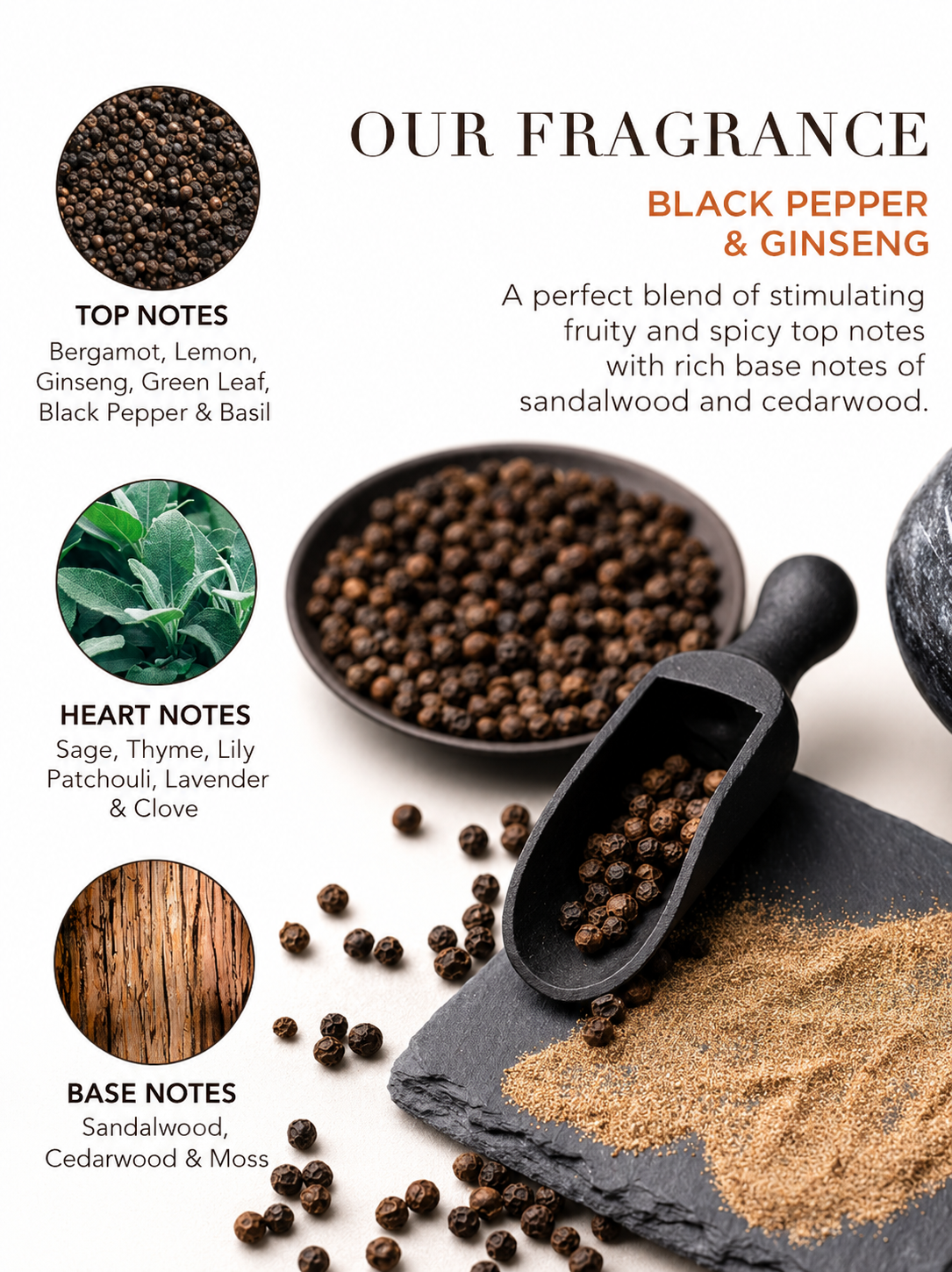 Baylis & Harding Black Pepper His Essential Luxuries Gift Set
