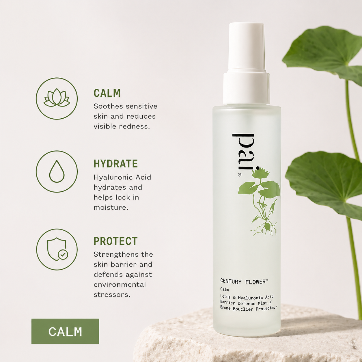 Pai Century Flower™ Face Mist - 100ml