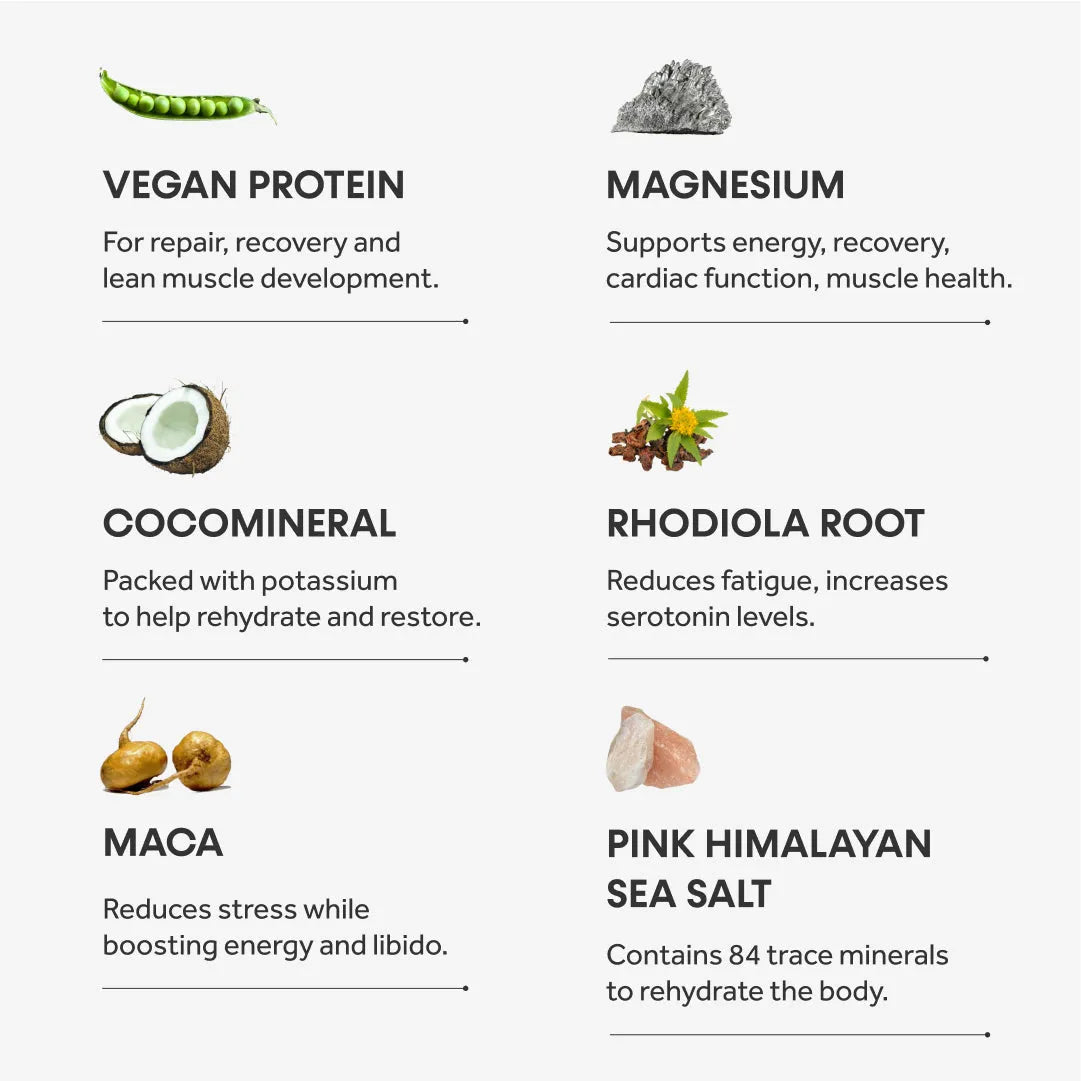 The Fit Protein - 520g