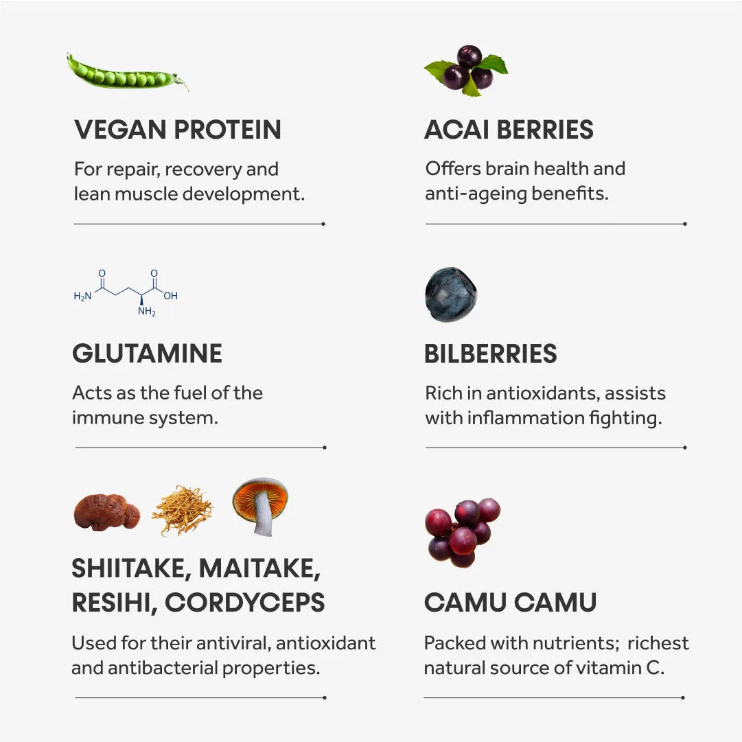 The Health Protein - 520g