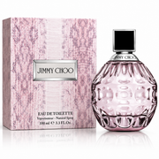 Jimmy Choo Ladies 100ml Edt Spr