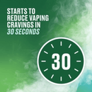 Nicorette QuickMist Freshmint 1mg/Spray - Single Pack