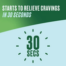 Nicorette QuickMist Freshmint 1mg/Spray - Single Pack