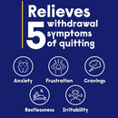 Nicotinell Fruit Gum 2mg - 24/96 Pack