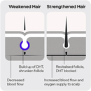 Sons Hair Growth Shampoo For Men- 3 Month Supply