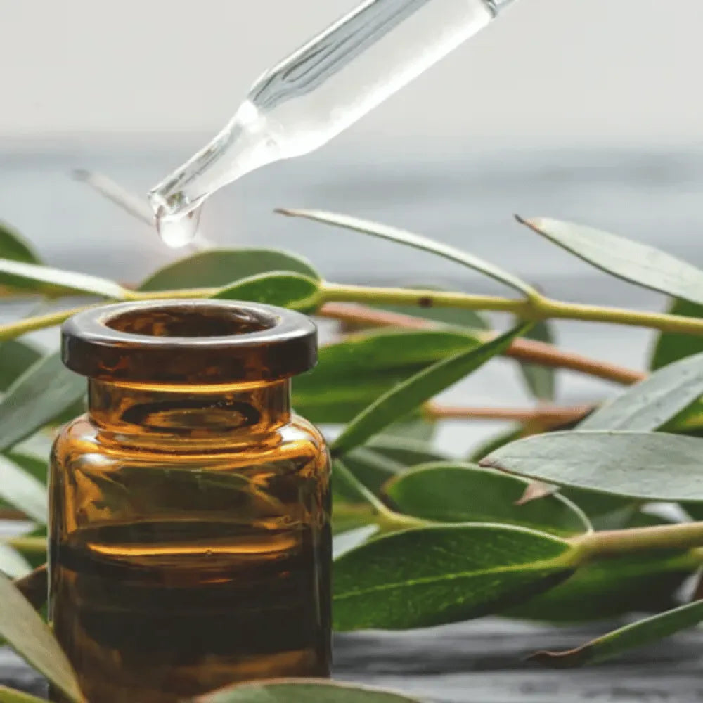 Ogam Essential Oil - Eucalyptus 10ml