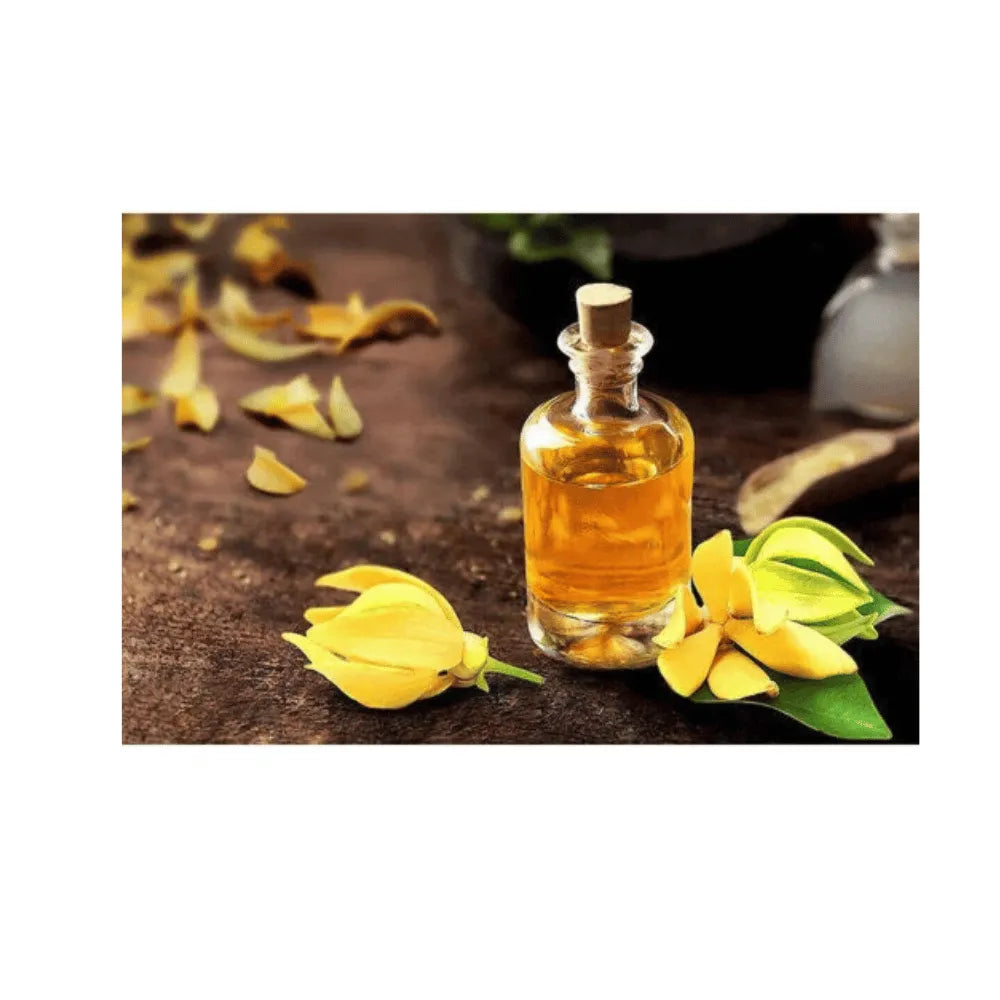 Ogam Essential Oil - Ylang Ylang 10ml
