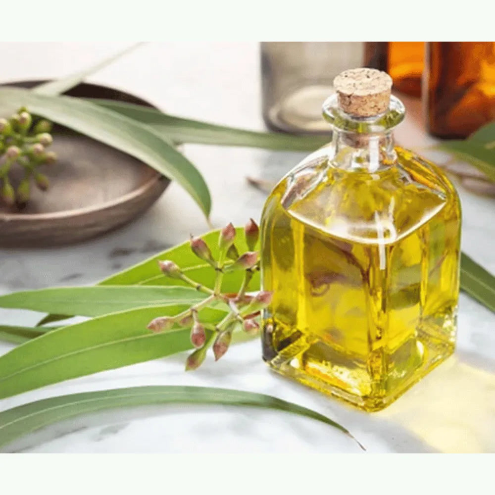 Ogam Essential Oil - Eucalyptus 10ml