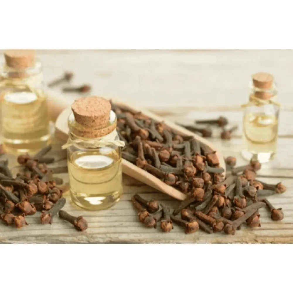 Ogam Essential Oil - Clove 5ml