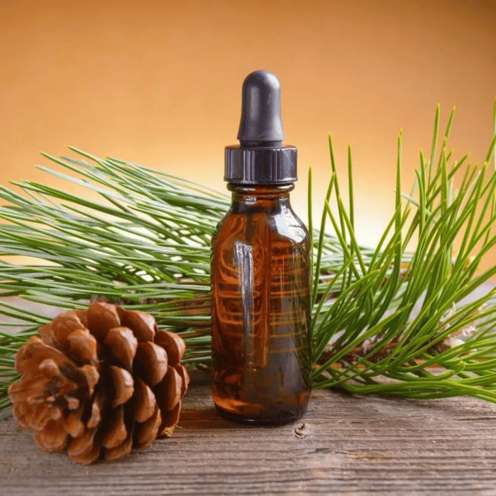 Ogam Essential Oil - Pine Needle 10ml