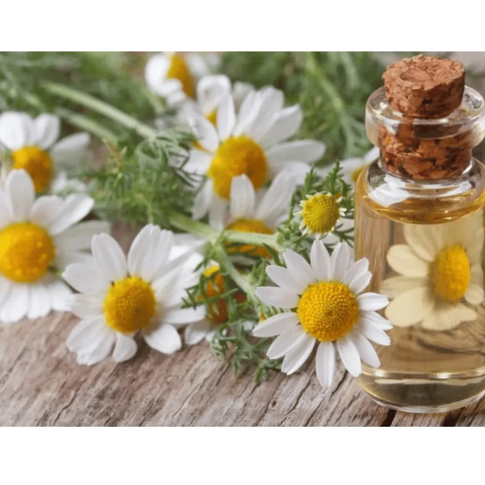 Ogam Essential Oil - Chamomile 5% GSD 5ml