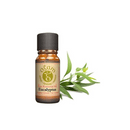 Ogam Essential Oil - Eucalyptus 10ml