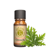 Ogam Essential Oil - Citronella 10ml