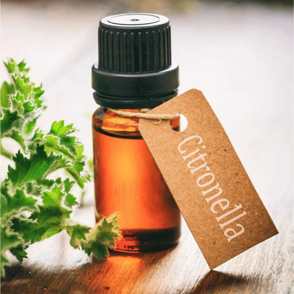 Ogam Essential Oil - Citronella 10ml