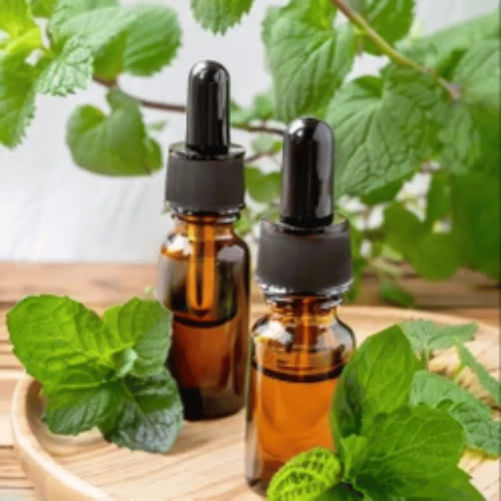 Ogam Essential Oil - Peppermint 10ml