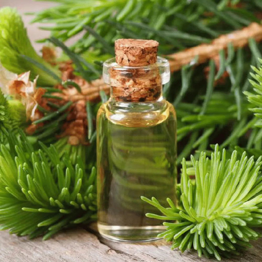 Ogam Essential Oil - Pine Needle 10ml