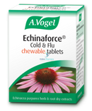 A.vogel Echinaforce Chewable Cold & Flu - 40 Tabs Supplements