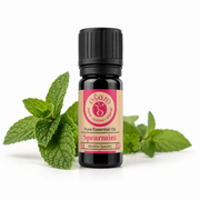 Ogam Essential Oil Spearmint - 10ml